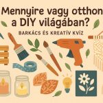 DIY kviz barkacs kvizneked