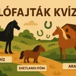 Lofajtak kvizneked