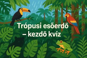 Trópusi esőerdő kvíz – kezdőknek szóló kihívás