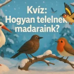 kviz hogyan telelnek madaraink