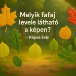 melyik fafaj levele lathato a kepen