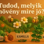 tudod melyik noveny mire jo kvizneked
