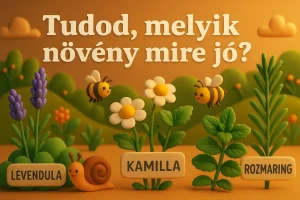 Tudod, melyik növény mire jó? – Gyógy- és fűszernövényfelismerő teszt