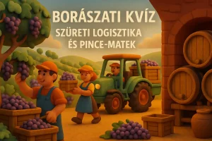 Borászati kvíz szüreti logisztika és pince-matek