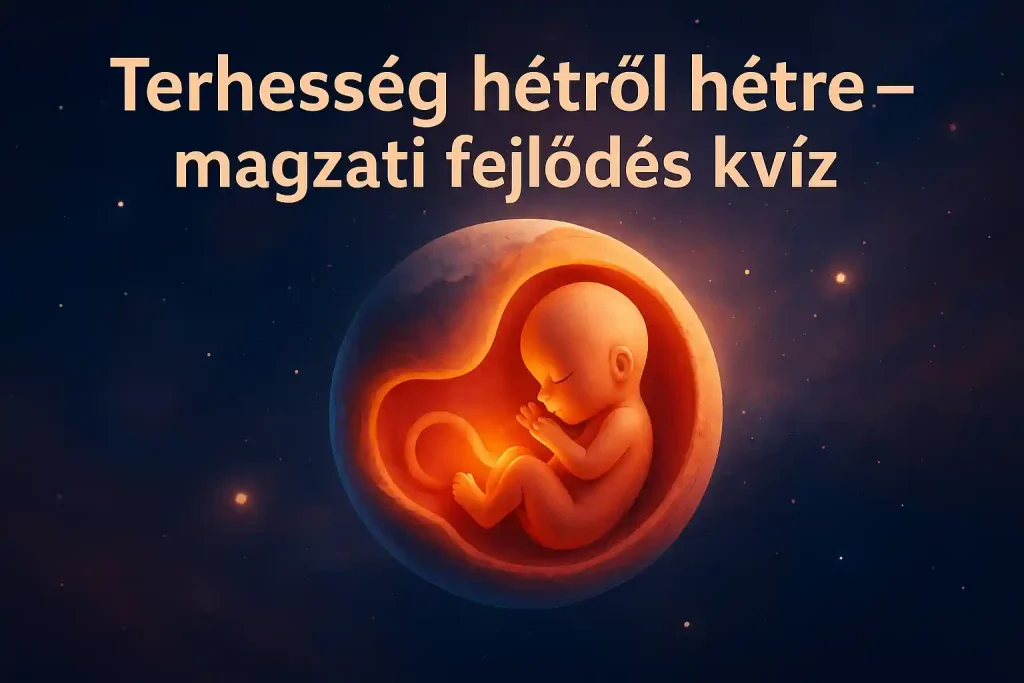 Terhesség hétről hétre – magzati fejlődés kvíz illusztráció