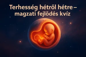 Terhesség hétről hétre – magzati fejlődés kvíz