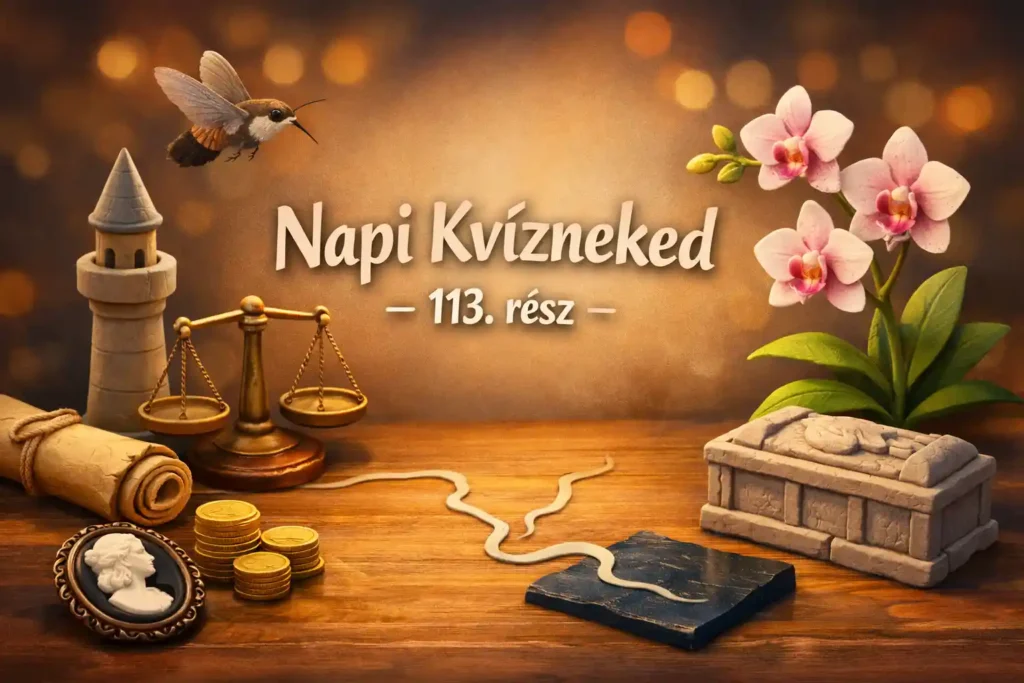 Gyors tudáspróba kvíz hero kép kultúra, természet és történelem témákkal, „Napi Kvízneked – 113. rész” felirattal.