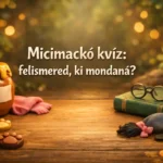 micimacko kviz felismered ki mondana