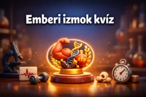 Emberi izmok kvíz: mennyit tudsz a működésről és rekordokról?