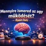 mennyire ismered az agy mukodeset gyors kviz