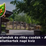 allatkertek kviz 1785469065897