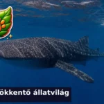 allatvilag kviz 1785296358011