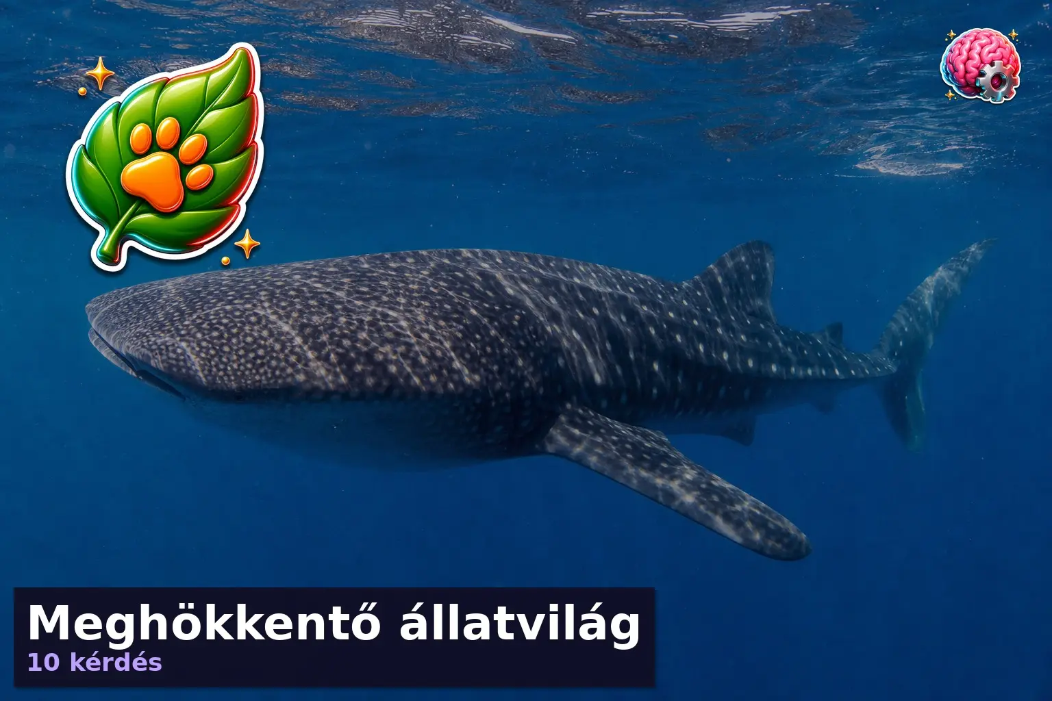 allatvilag kviz 1785296358011
