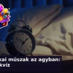 alvas kviz agy ejszaka 1783666568846