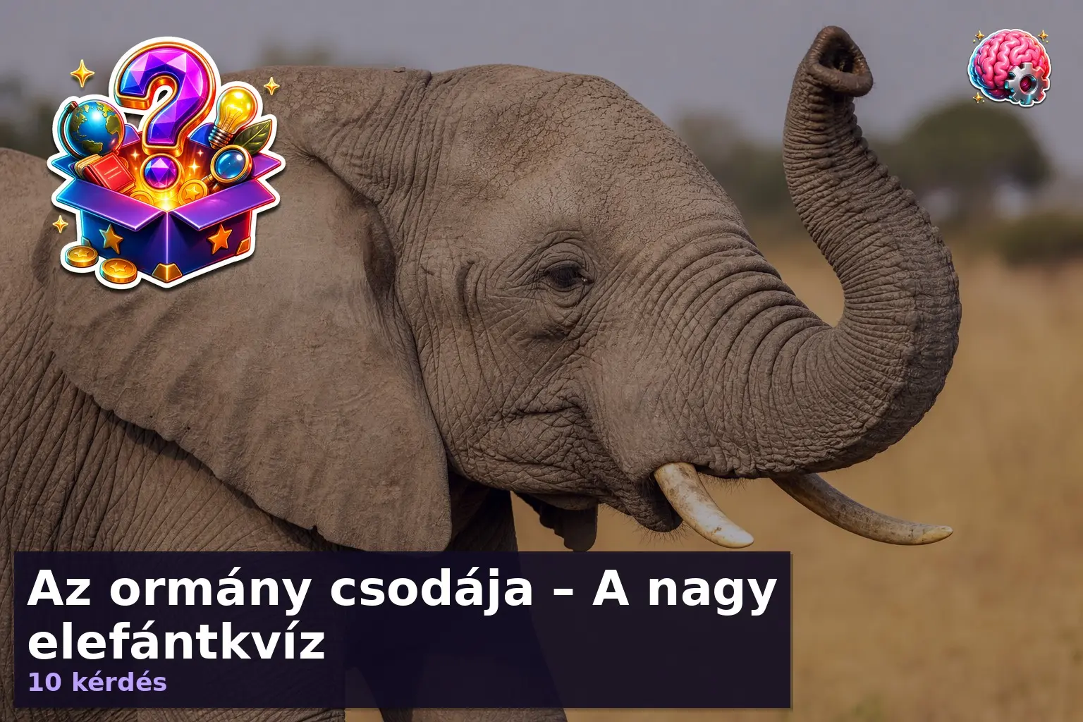 Az ormány csodája – A nagy elefántkvíz 1 elefant kviz 1785469611195