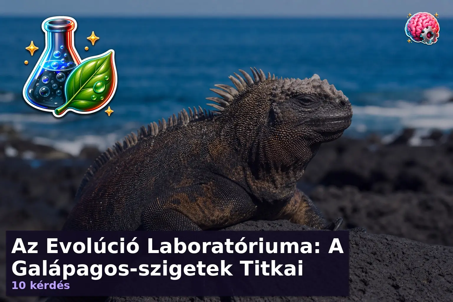 galapagos szigetek kviz 1785138053359