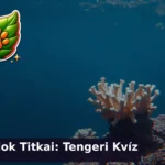 korall kviz 1783601186948