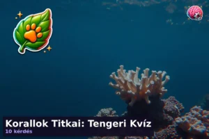 Korallok Titkai: Tengeri Kvíz