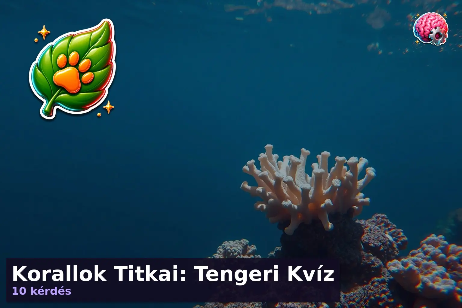Korallok Titkai: Tengeri Kvíz 1 korall kviz 1783601186948