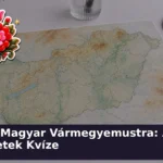 magyar varmegyek kviz 1784795597630