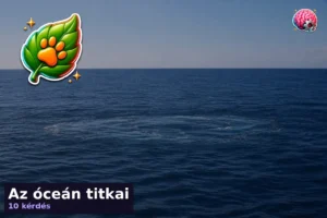 Az óceán titkai