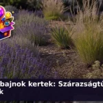 szarazsagturo evelok kviz 1784532398038