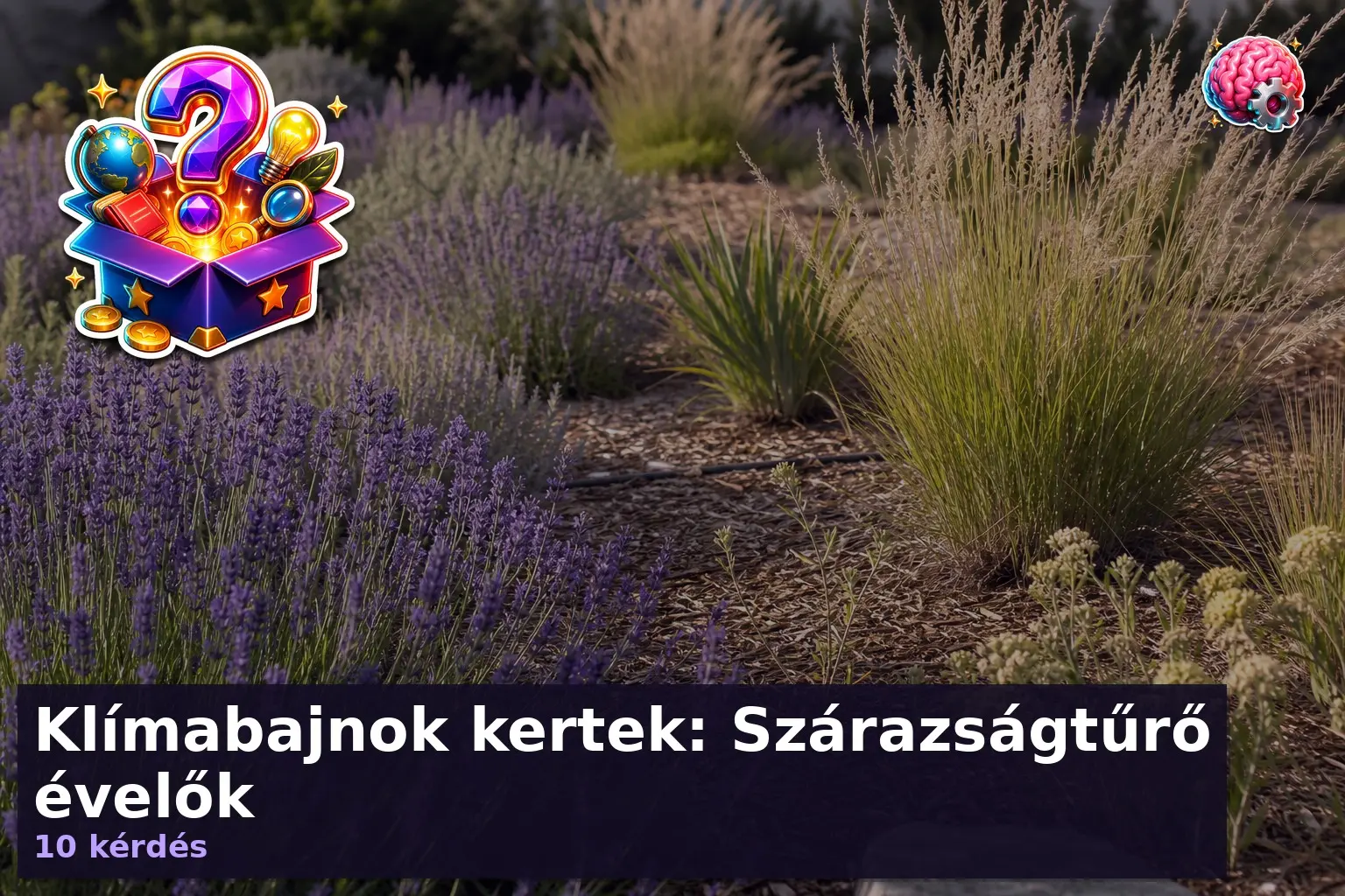 szarazsagturo evelok kviz 1784532398038