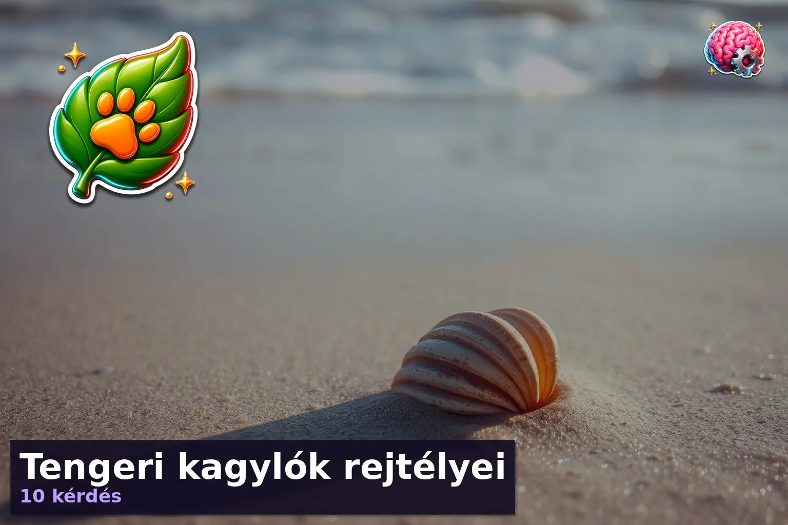 Tengeri kagylók rejtélyei 1 tengeri kagylok kviz 1783665767372