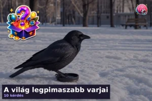 A világ legpimaszabb varjai 19 A világ legpimaszabb varjai