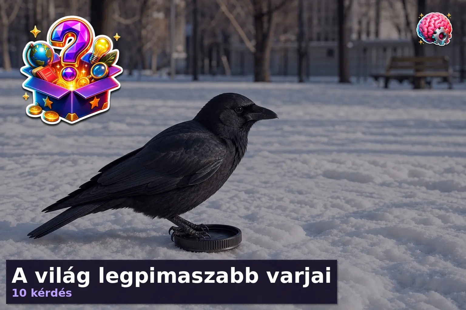 varju kviz pimasz varjak 1784621151211
