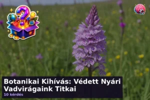 Botanikai Kihívás: Védett Nyári Vadvirágaink Titkai 16 Botanikai Kihívás: Védett Nyári Vadvirágaink Titkai