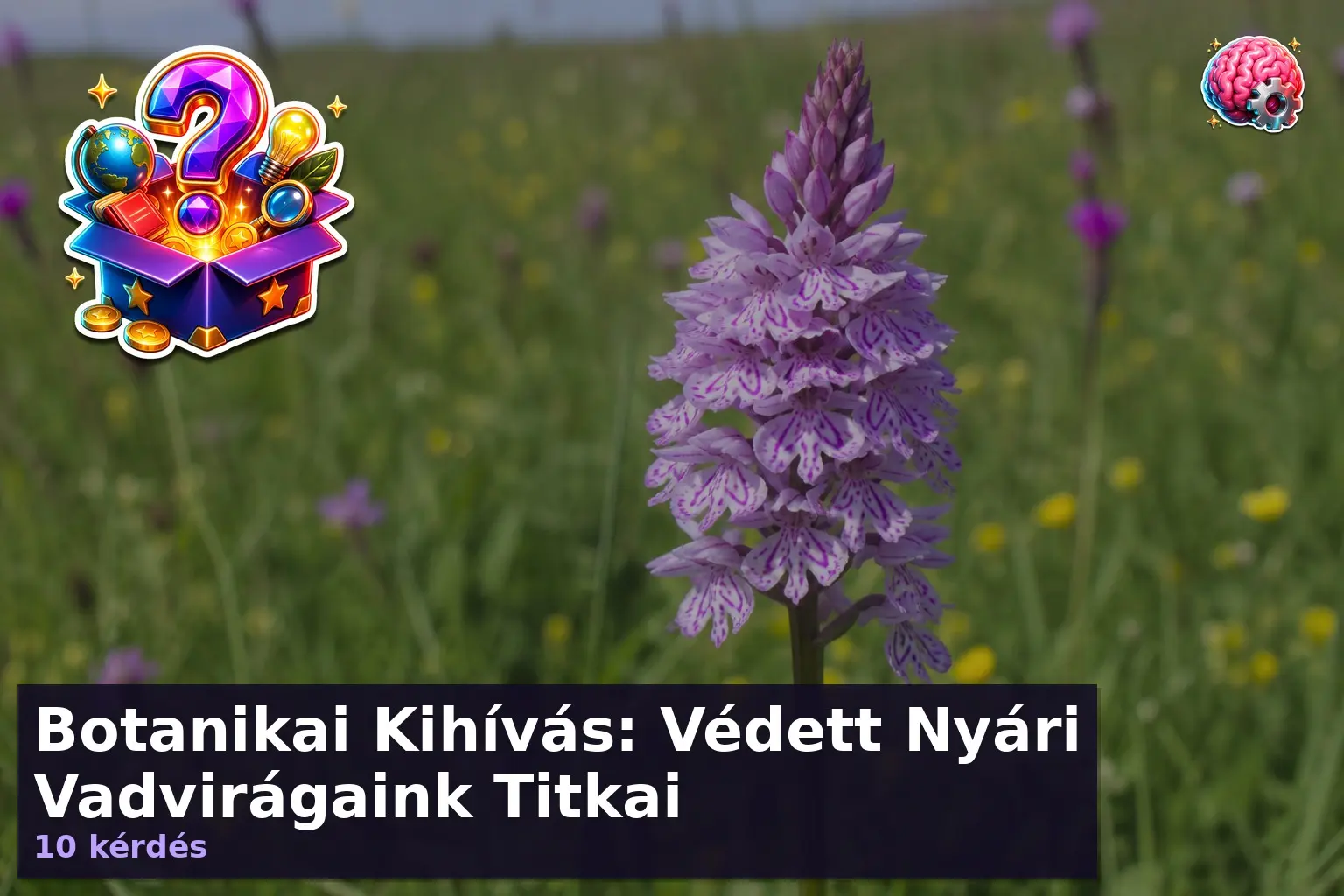 vedett nyari vadviragok kviz 1784793259690