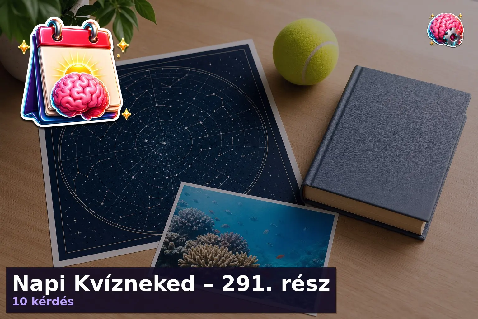 Napi Kvízneked – 291. rész 1 vegyes kviz 291 resz 1785135438677