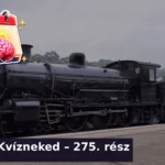 vegyes kviz napi kvizneked 275 1783938862397