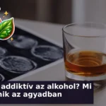 alkohol fuggoseg kviz agyban 1787834458768