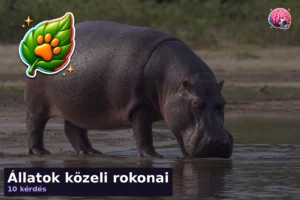 Állatok közeli rokonai 23 Állatok közeli rokonai