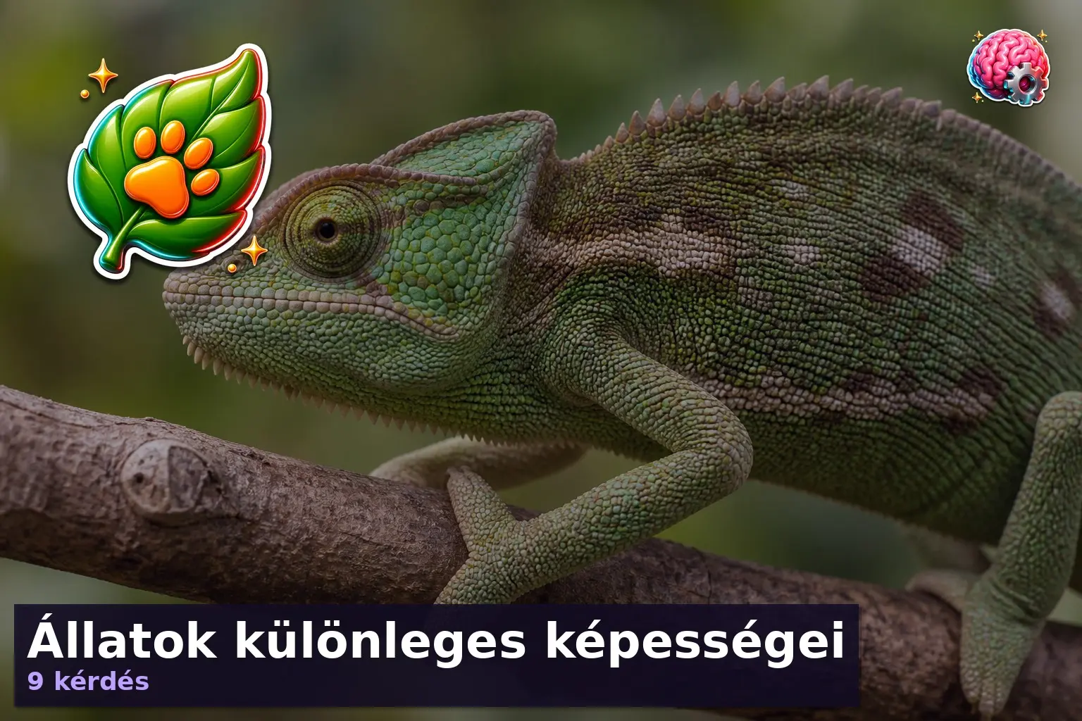 Állatok különleges képességei 1 allatok kulonleges kepessegei kviz 1785684337117