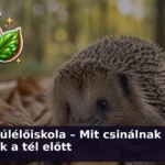 allatok teli tulelese kviz