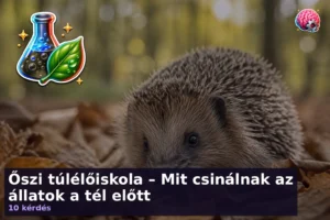 Őszi túlélőiskola – Mit csinálnak az állatok a tél előtt 2 Őszi túlélőiskola – Mit csinálnak az állatok a tél előtt