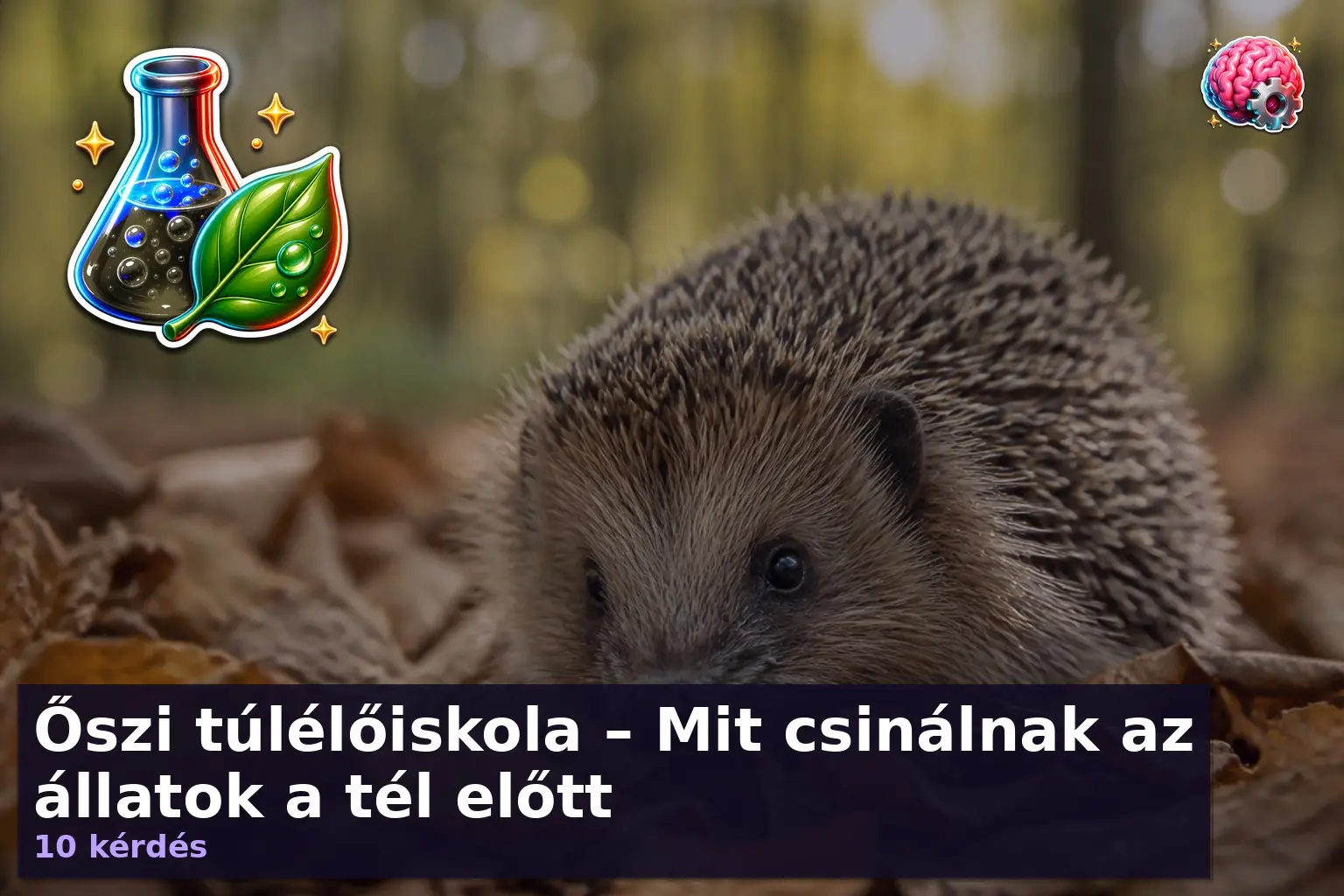 allatok teli tulelese kviz