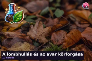 A lombhullás és az avar körforgása
