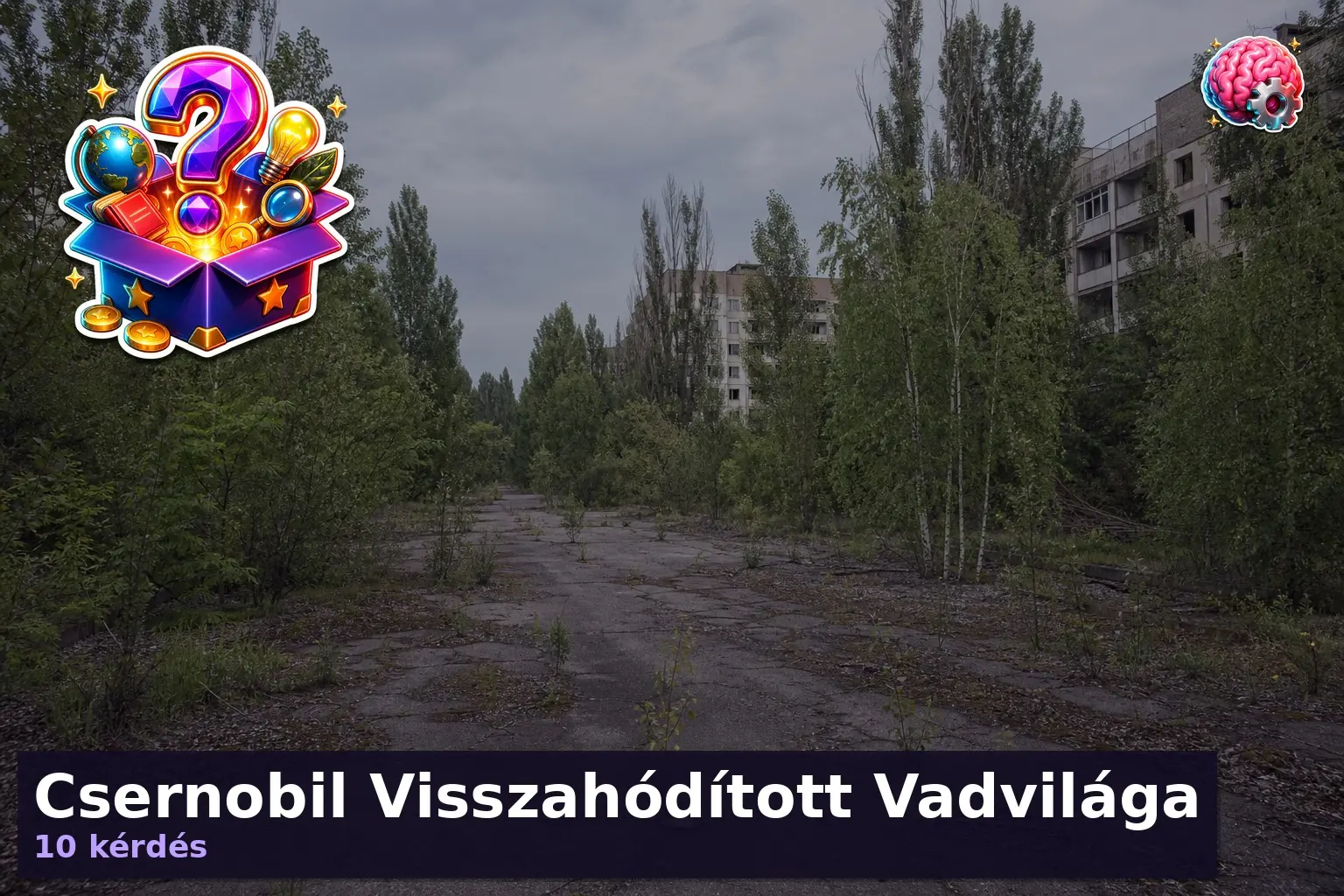 csernobili vadvilag kviz 1787627638832