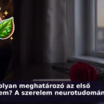 elso szerelem agy kviz 1787835529390