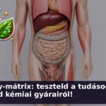 emberi mirigyek kviz 1786691834576