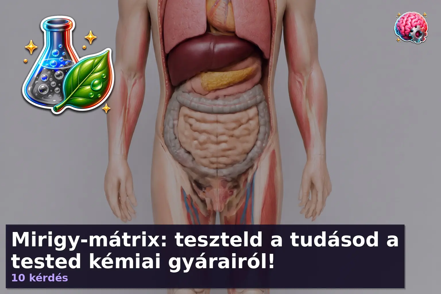 emberi mirigyek kviz 1786691834576