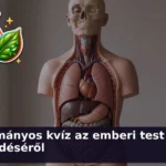 emberi test kviz 1786356022801