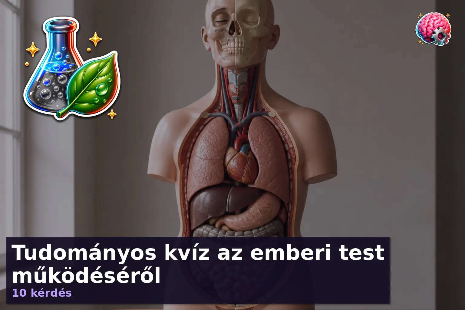 emberi test kviz 1786356022801