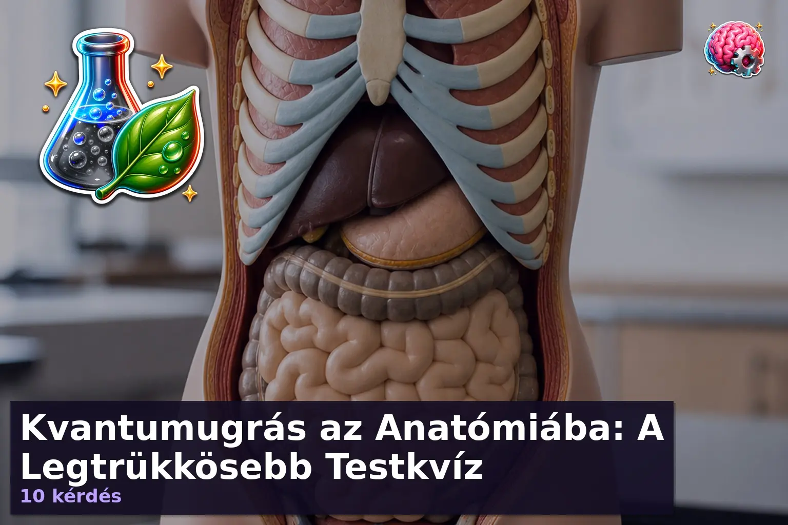 emberi test kviz anatomia 1785755284753