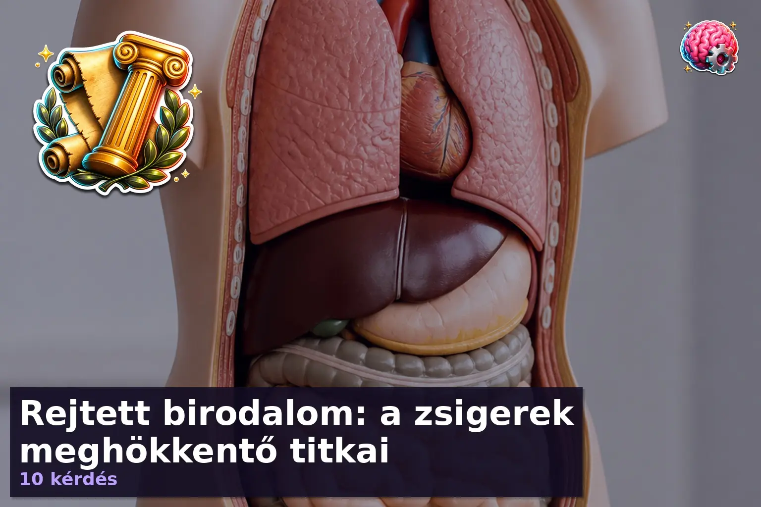 Rejtett birodalom: a zsigerek meghökkentő titkai 1 emberi test kviz zsigerek 1786360450066