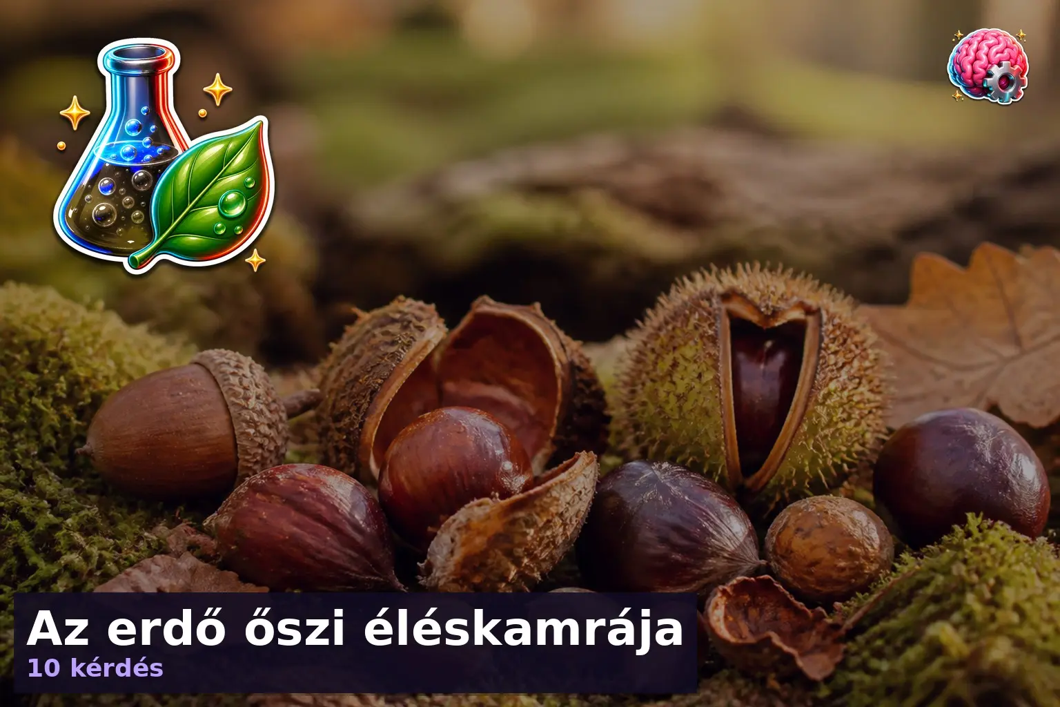 erdei termesek kviz